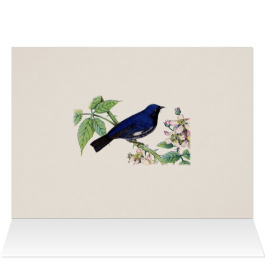 Black Throated Blue Warbler Bird Danke Karte (Innenansicht Horizontal (Oben))