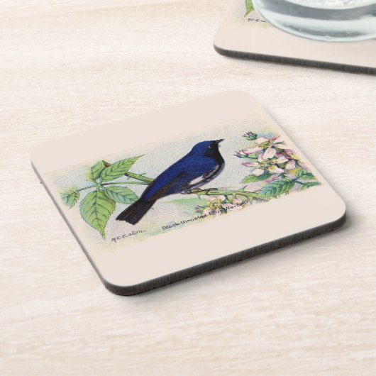 Black Throated Blue Warbler Getränkeuntersetzer (Linke Seite)