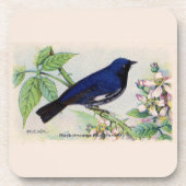 Black Throated Blue Warbler Getränkeuntersetzer (Vorderseite)