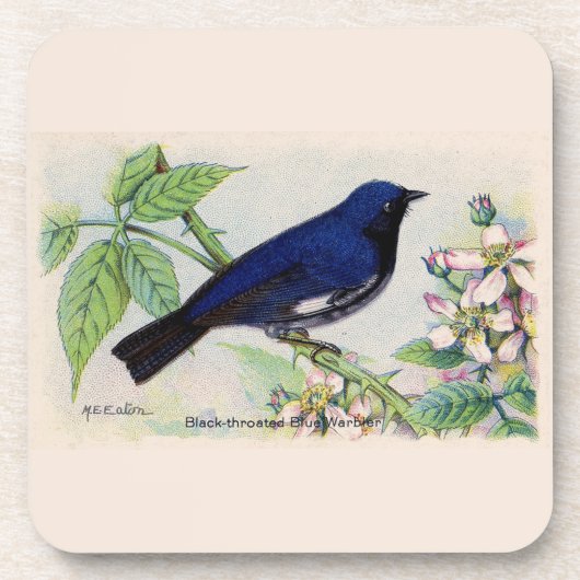 Black Throated Blue Warbler Getränkeuntersetzer (Vorderseite)