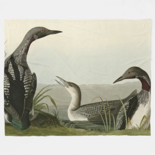 Black-Throated Diver Loon Audubon Birds of America Fleecedecke