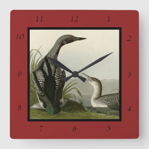 Black-Throated Diver Loon Audubon Birds of America Quadratische Wanduhr