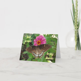 Black Tiger Frack auf Zinnia Danke Karte