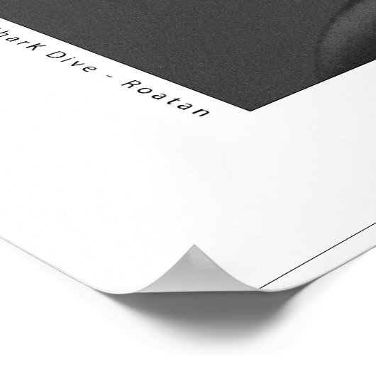 Black Tip Reef Shark Poster (Ecke)