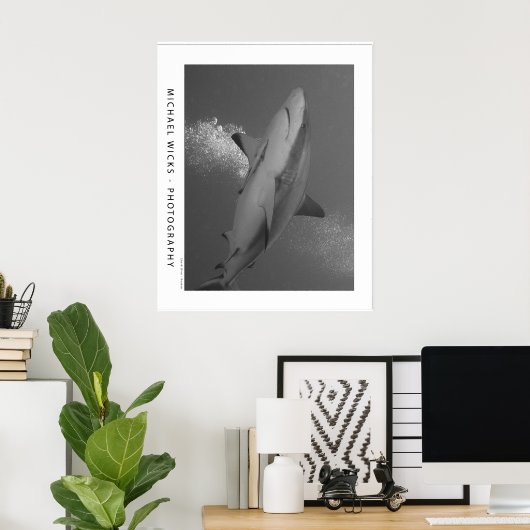 Black Tip Reef Shark Poster (Heimbüro)