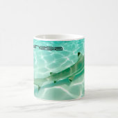 Black Tip Reef Shark Tasse (Mittel)