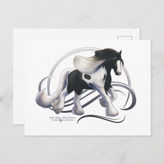 Black Tobiano Sinti und Roma Vanner Horse Postkarte (Vorne/Hinten)