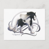 Black Tobiano Sinti und Roma Vanner Horse Postkarte (Vorderseite)