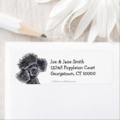 Black Toy Poodle Clean & Simple (Insitu)