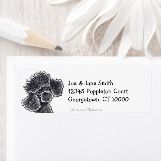 Black Toy Poodle Clean & Simple (Insitu)