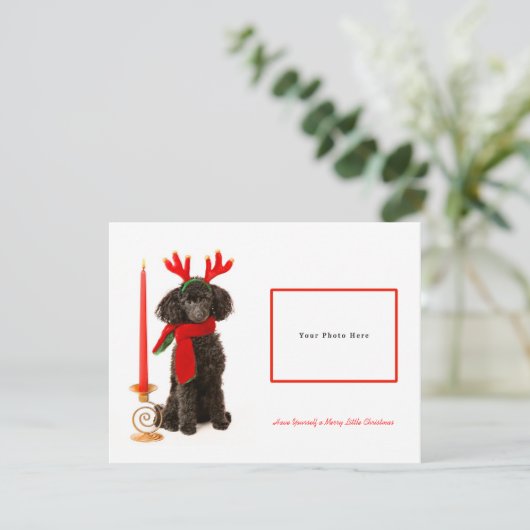 Black Toy Poodle Frohe Weihnachten (Stehend Vorderseite)