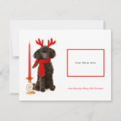 Black Toy Poodle Frohe Weihnachten (Vorderseite)
