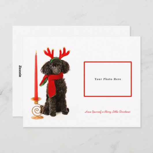 Black Toy Poodle Frohe Weihnachten (Vorne/Hinten)