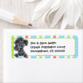 Black Toy Poodle Fun Streifen (Insitu)