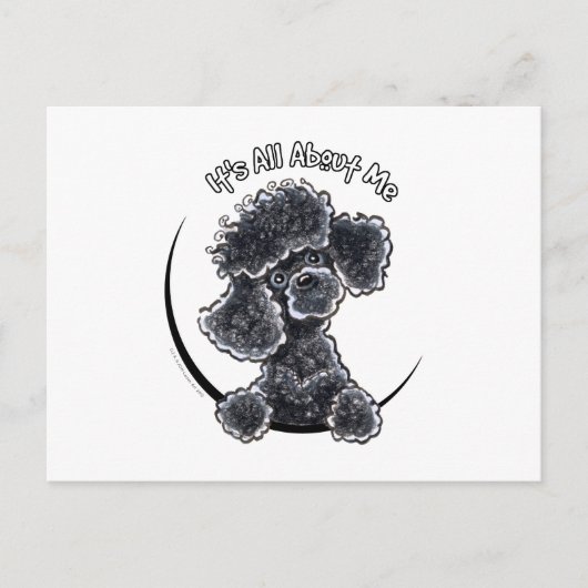 Black Toy Poodle IAAM Postkarte (Vorderseite)