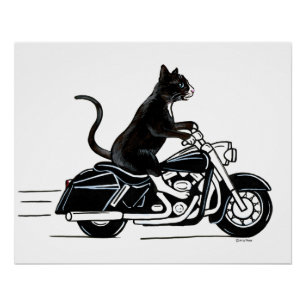Black Tuxedo Cat Riding A Motorrad Poster