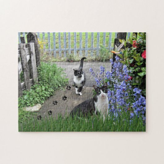 Black Tuxedo Cats in Garden Jigsaw Puzzle (Horizontal)