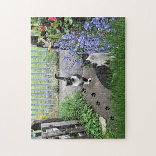 Black Tuxedo Cats in Garden Jigsaw Puzzle (Vertikal)