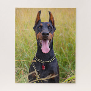 Black und Tan Doberman Pinscher Puzzle