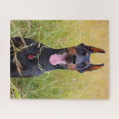 Black und Tan Doberman Pinscher Puzzle (Horizontal)