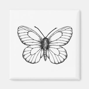 Black-veined white butterfly magnet