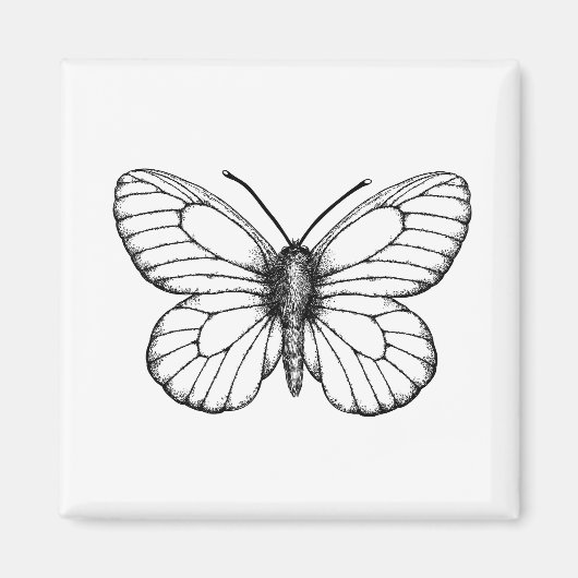 Black-veined white butterfly magnet (Vorne)