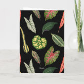 Black Vintage Plant Leaf Folded Greeting Card Karte (Rückseite)