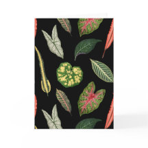 Black Vintage Plant Leaf Folded Greeting Card
