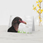Black-Vulture-Grußkarte Karte (Gelbe Blume)