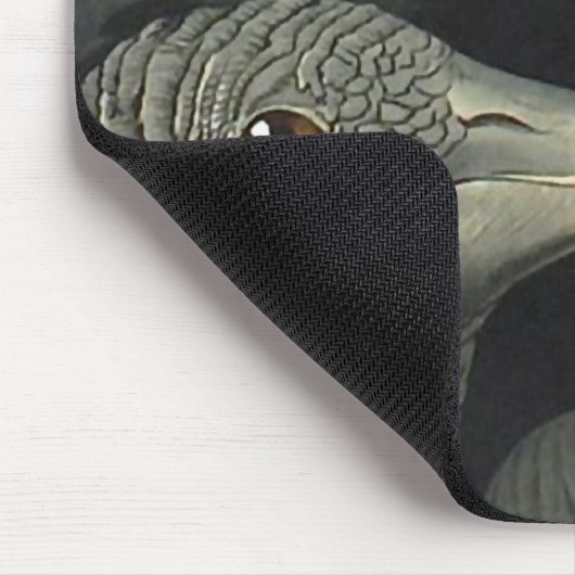 Black Vultures, John James Audubon Mousepad (Ecke)