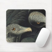 Black Vultures, John James Audubon Mousepad (Mit Mouse)