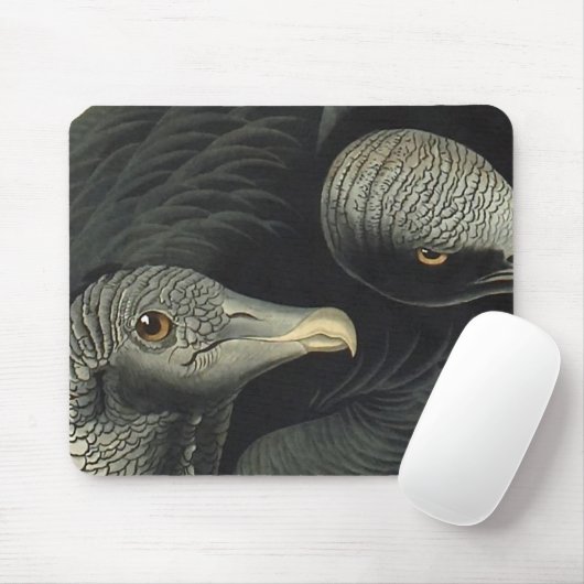 Black Vultures, John James Audubon Mousepad (Mit Mouse)