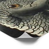 Black Vultures, John James Audubon Poster (Ecke)