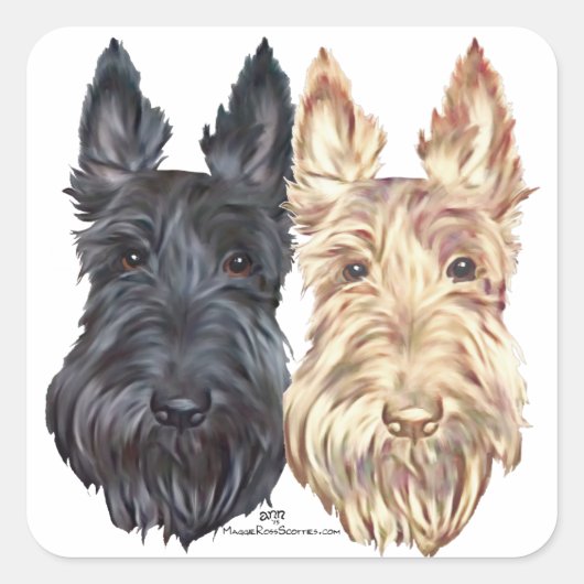 Black & Wheaten Scottish Terriers Quadratischer Aufkleber (Vorderseite)