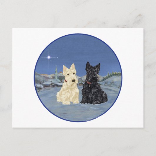 Black & Wheaten Scottish Terriers Winter Postkarte (Vorderseite)
