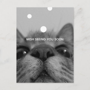 Black&White 17yro Kitty Blank Postcard Postkarte