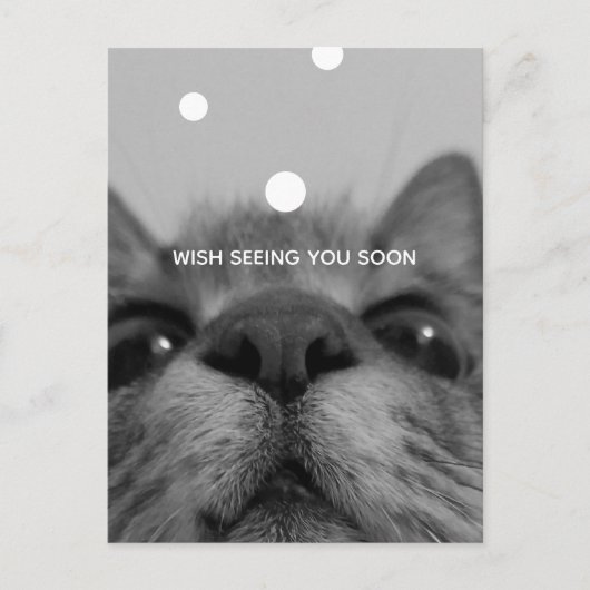 Black&White 17yro Kitty Blank Postcard Postkarte (Vorderseite)