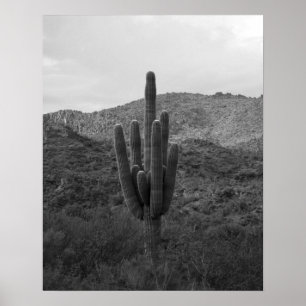 Black & White Big Saguaro Cactus in Arizona 16x20 Poster