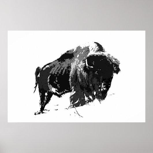 Black & White Bison Buffalo American Artwork Poster (Vorne)