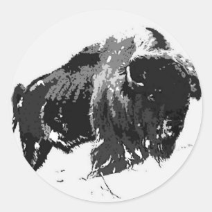 Black & White Bison / Buffalo Runder Aufkleber