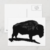 Black & White Buffalo Postkarte (Vorne/Hinten)