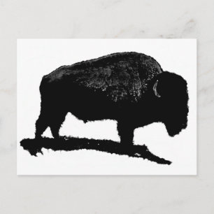 Black & White Buffalo Postkarte