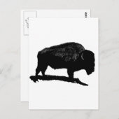 Black & White Buffalo Postkarte (Vorne/Hinten)
