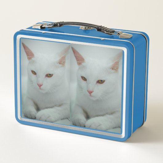 Black & White Cat Duo Metal Lunchbox (Rückseite)