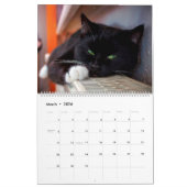 Black & White Cats & Kittens Kitty Cat 2020 Kalender (Mär 2026)