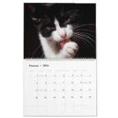 Black & White Cats & Kittens Kitty Cat 2020 Kalender (Feb 2026)