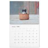 Black & White Cats & Kittens Kitty Cat 2020 Kalender (Jan 2026)