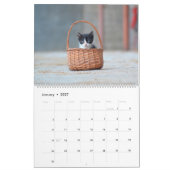 Black & White Cats & Kittens Kitty Cat 2020 Kalender (Jan 2027)