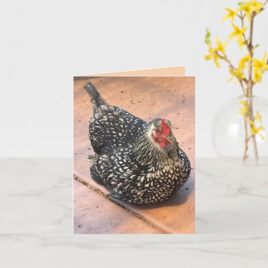 Black & White Chicken Resting Photo Karte (Gelbe Blume)
