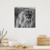 Black & White Cougar Poster (Küche)